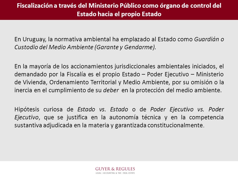 Fiscalización a través del Ministerio Público como órgano de control del Estado hacia el propio Estado