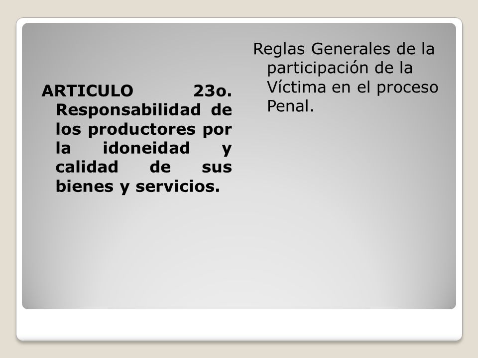Reglas Generales de la participación de la Víctima en el proceso Penal.
