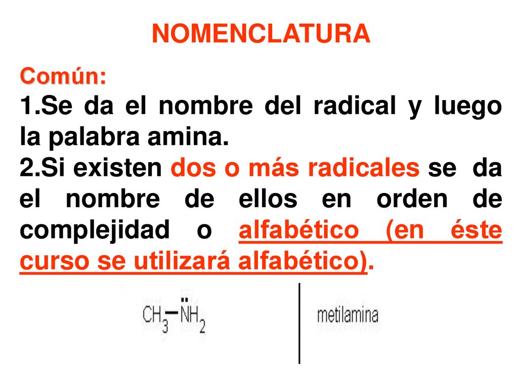 Se da el nombre del radical y luego la palabra amina.