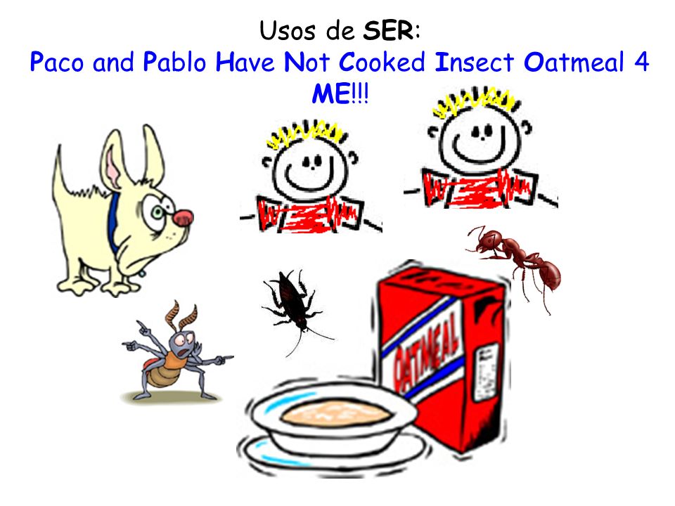 Paco and Pablo Have Not Cooked Insect Oatmeal 4 ME!!!
