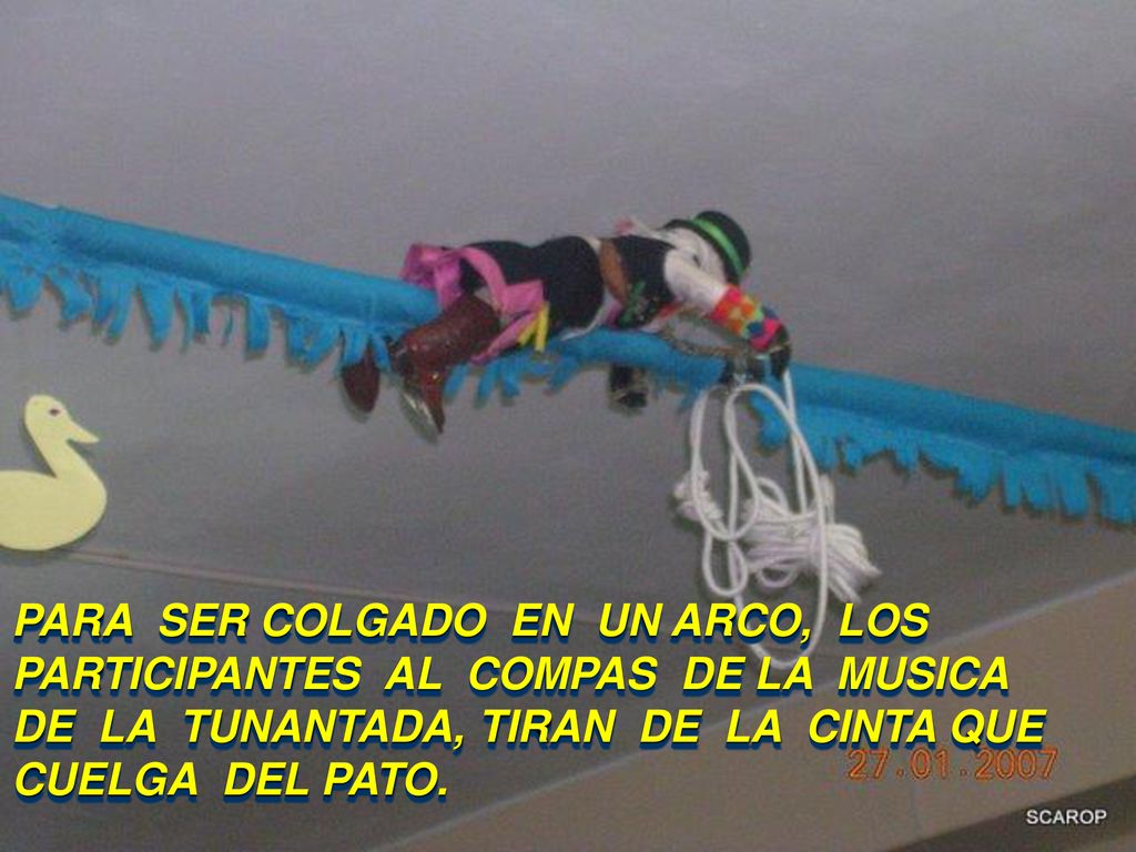 PARA SER COLGADO EN UN ARCO, LOS PARTICIPANTES AL COMPAS DE LA MUSICA DE LA TUNANTADA, TIRAN DE LA CINTA QUE CUELGA DEL PATO.