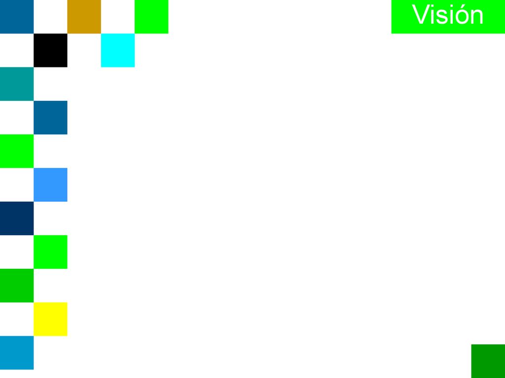 Visión Exponga la visión de a donde desearía llegar en términos generales.