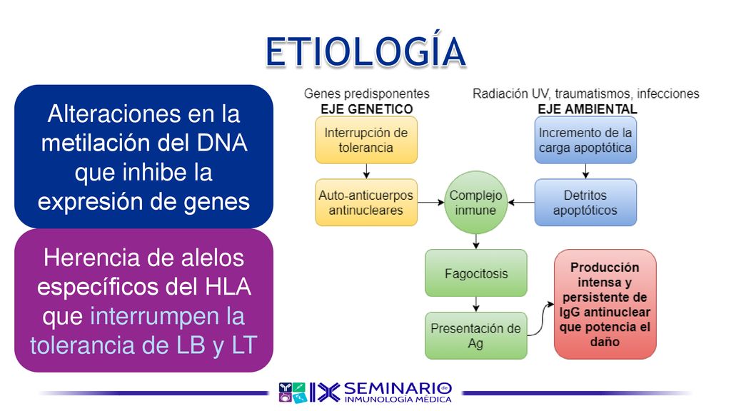 Alteraciones en la metilación del DNA que inhibe la expresión de genes