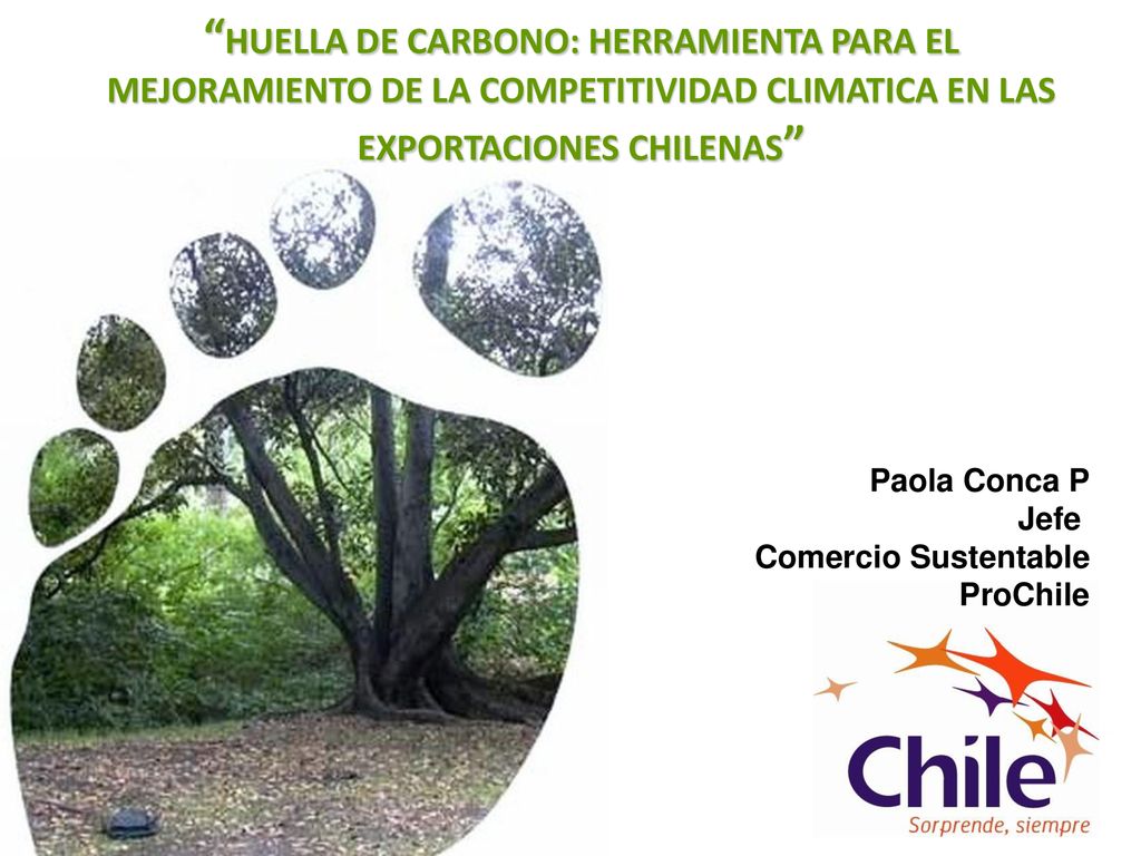 HUELLA DE CARBONO: HERRAMIENTA PARA EL MEJORAMIENTO DE LA COMPETITIVIDAD CLIMATICA EN LAS EXPORTACIONES CHILENAS