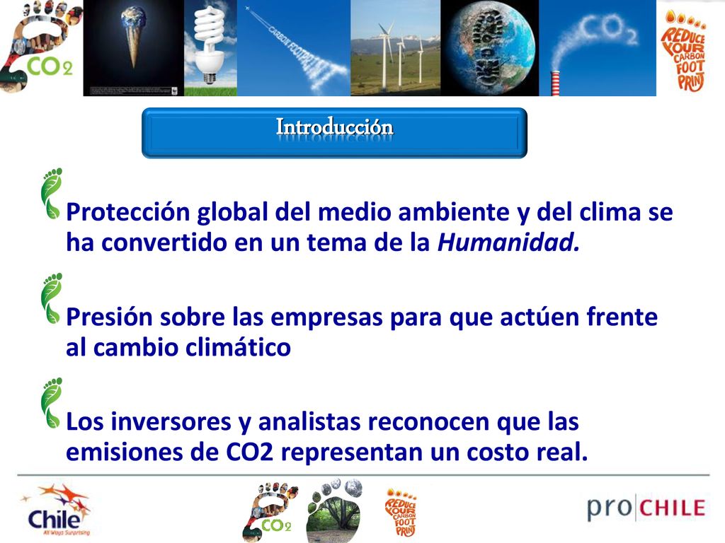 Introducción Protección global del medio ambiente y del clima se ha convertido en un tema de la Humanidad.