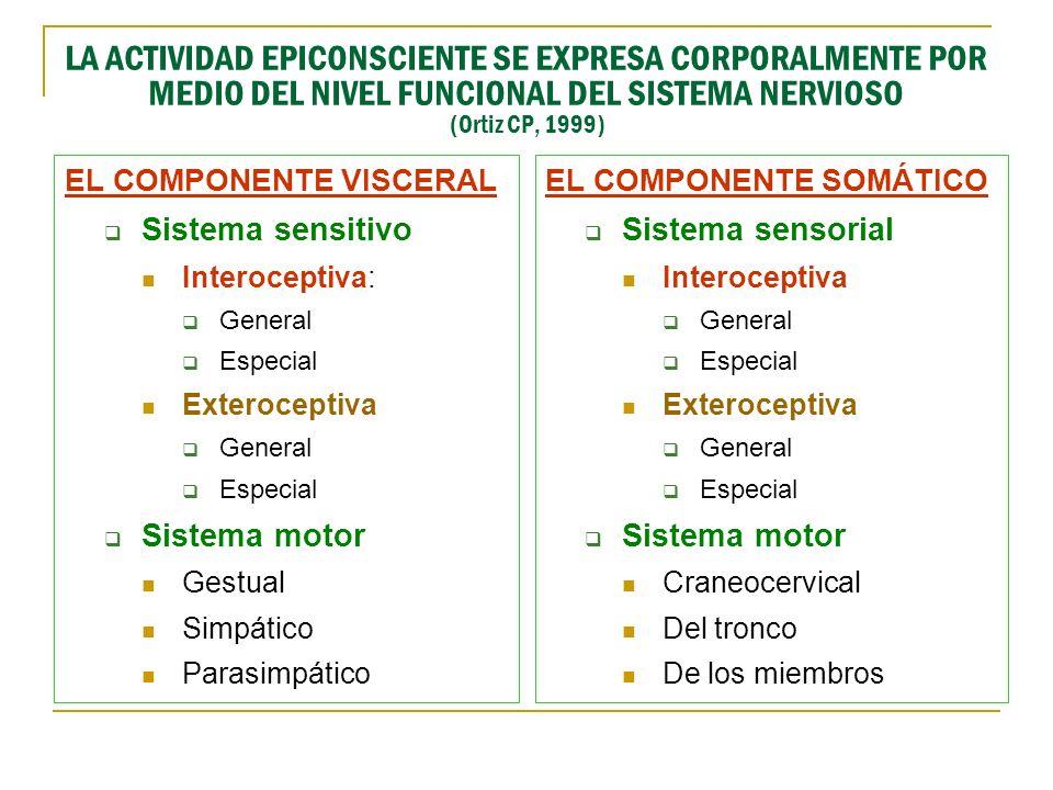 LA ACTIVIDAD EPICONSCIENTE SE EXPRESA CORPORALMENTE POR MEDIO DEL NIVEL FUNCIONAL DEL SISTEMA NERVIOSO (Ortiz CP, 1999)
