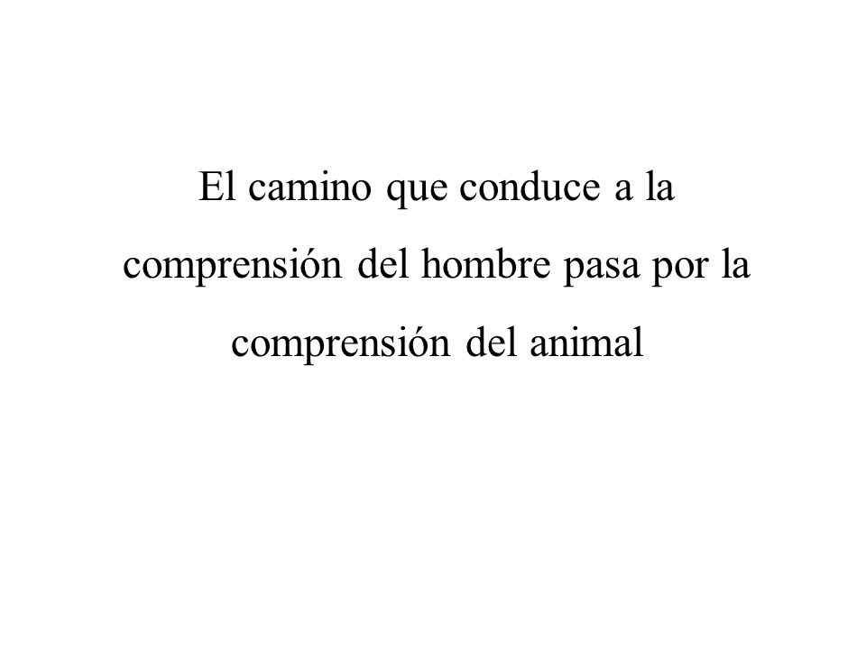 El camino que conduce a la comprensión del hombre pasa por la comprensión del animal