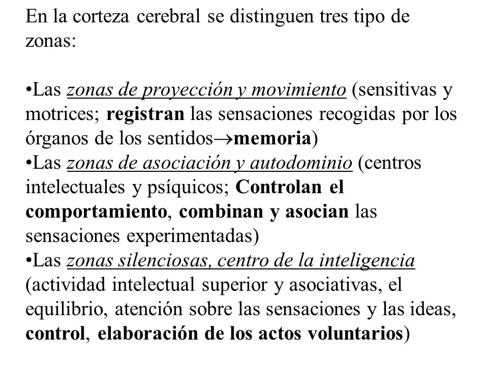 En la corteza cerebral se distinguen tres tipo de zonas: