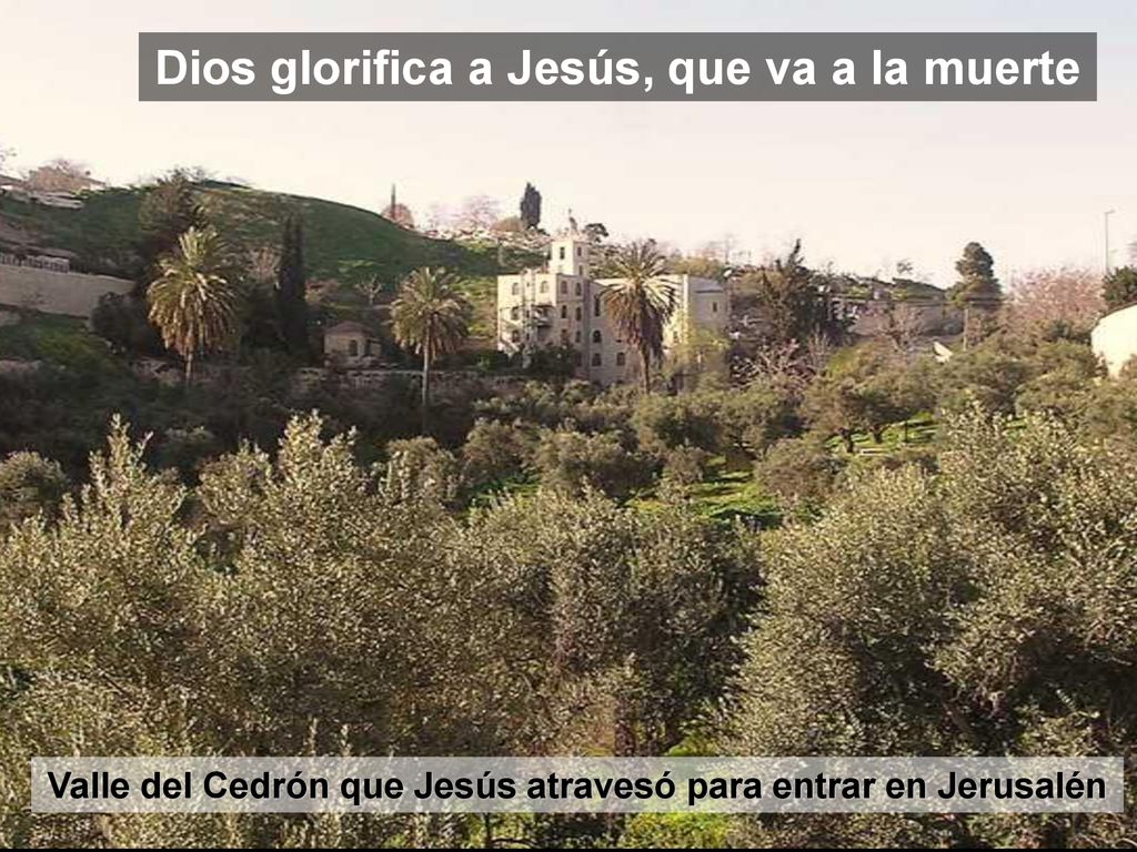 Dios glorifica a Jesús, que va a la muerte