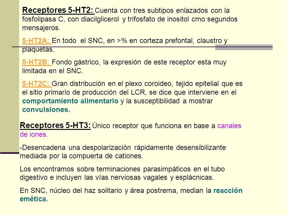 Receptores 5-HT2: Cuenta con tres subtipos enlazados con la fosfolipasa C, con diacilglicerol y trifosfato de inositol cmo segundos mensajeros.