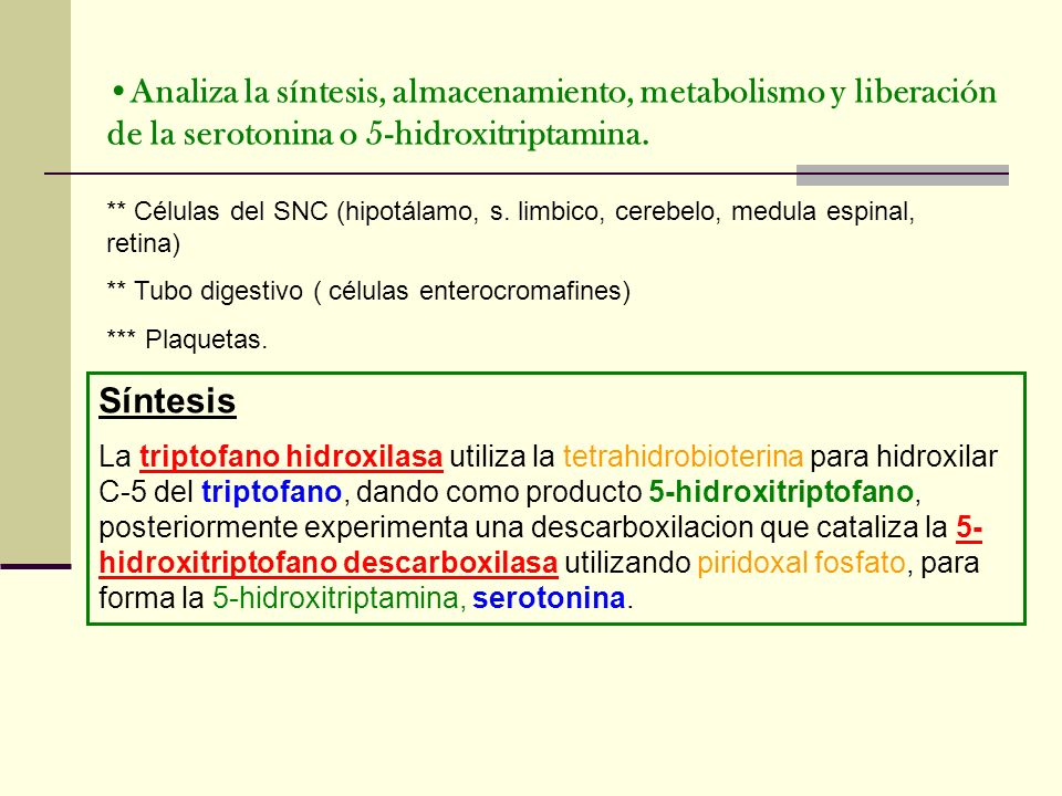 Analiza la síntesis, almacenamiento, metabolismo y liberación de la serotonina o 5-hidroxitriptamina.