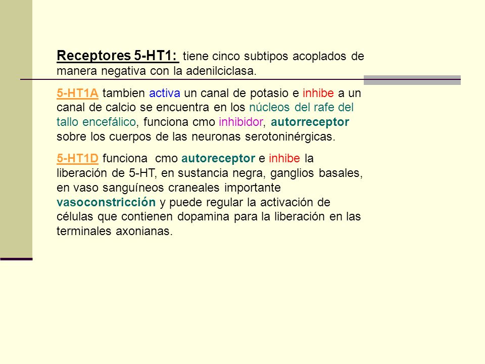 Receptores 5-HT1: tiene cinco subtipos acoplados de manera negativa con la adenilciclasa.