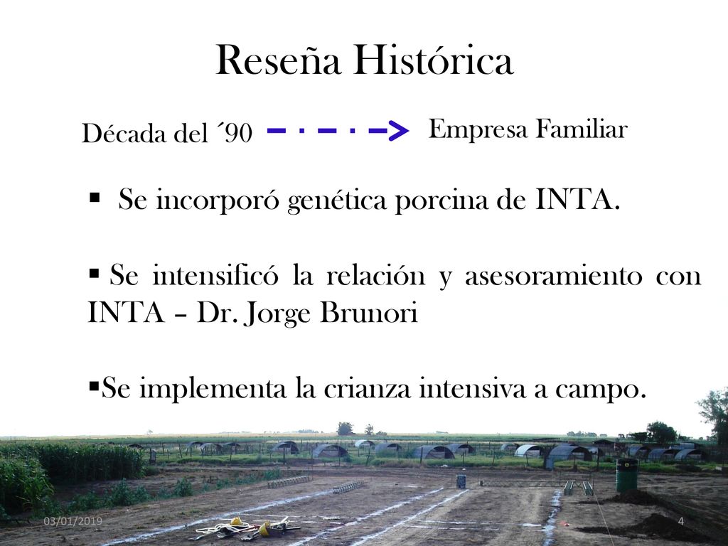 Reseña Histórica Se incorporó genética porcina de INTA.