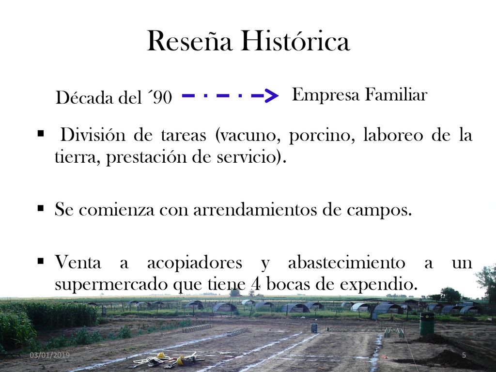 Reseña Histórica Década del ´90. Empresa Familiar. División de tareas (vacuno, porcino, laboreo de la tierra, prestación de servicio).