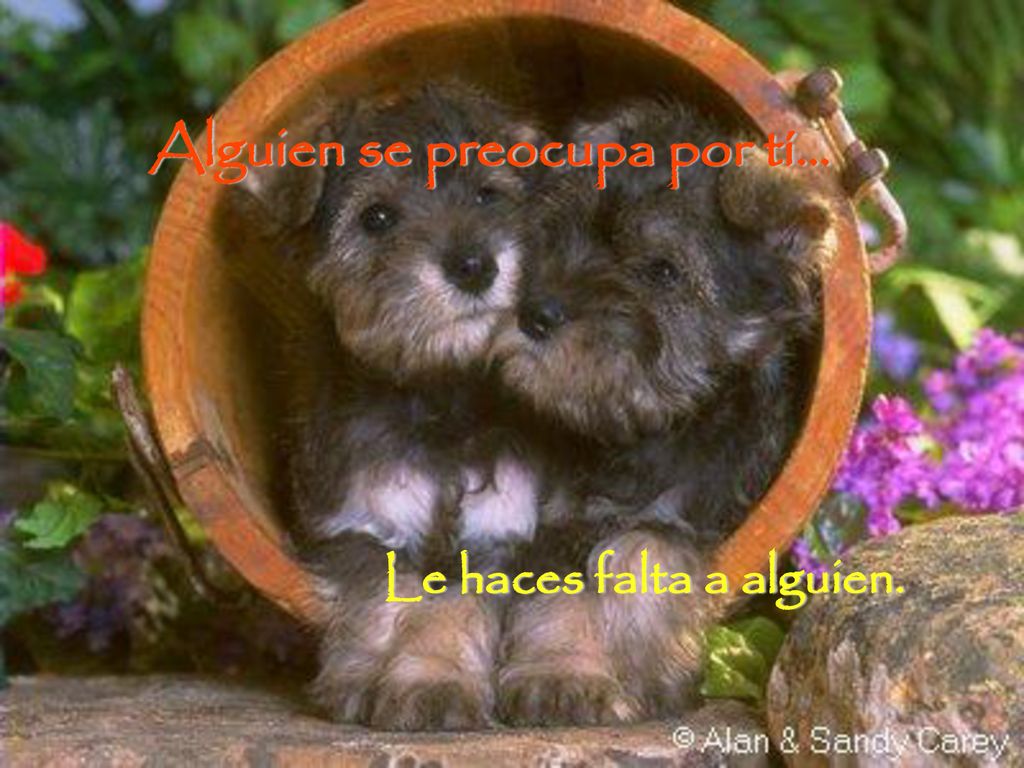 Alguien se preocupa por tí… Le haces falta a alguien.