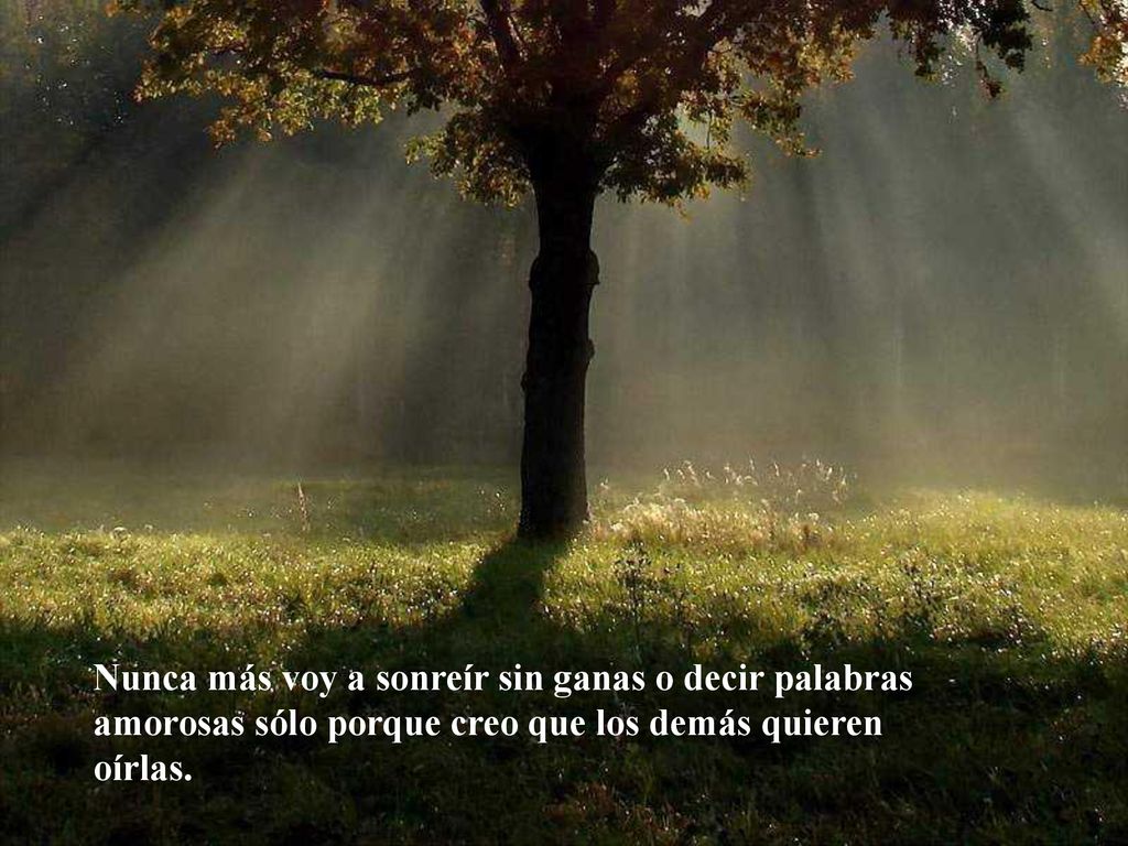 Nunca más voy a sonreír sin ganas o decir palabras