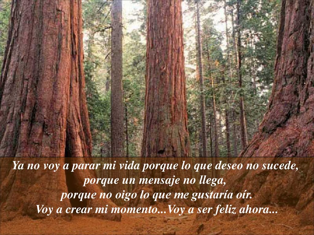 Ya no voy a parar mi vida porque lo que deseo no sucede,