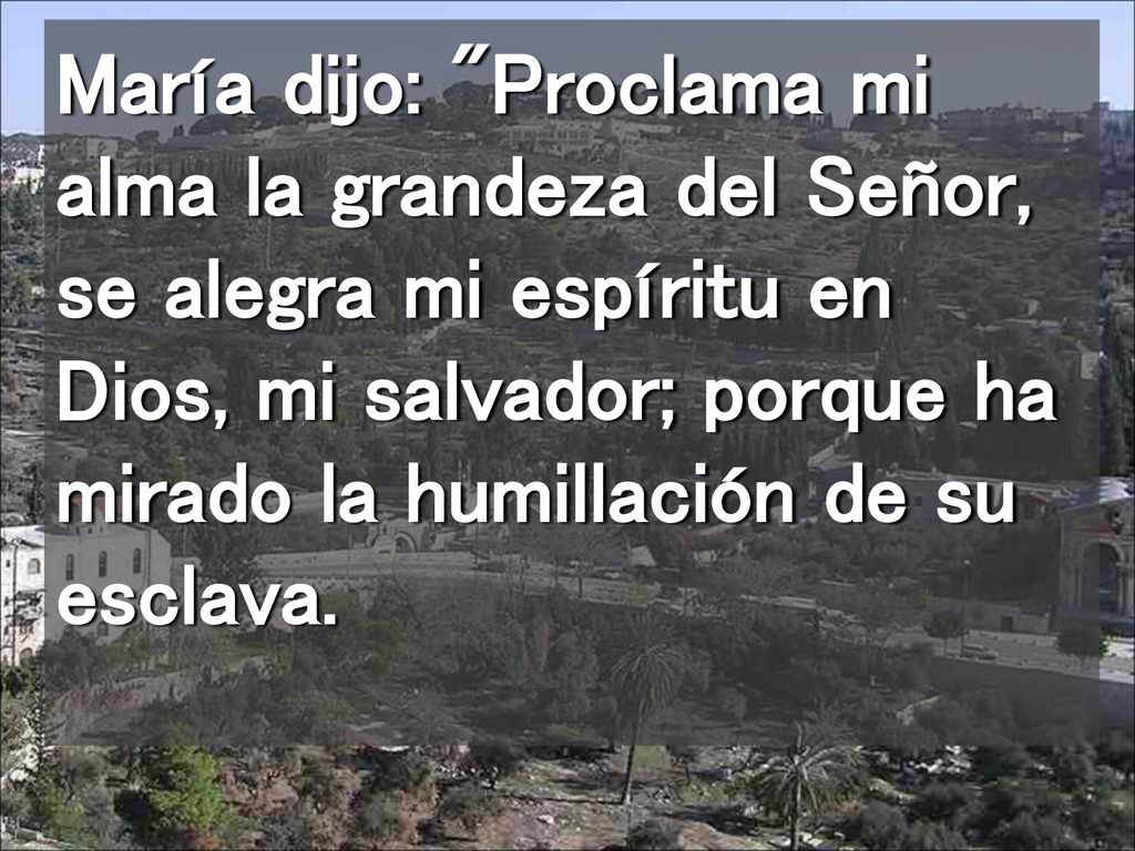 María dijo: Proclama mi alma la grandeza del Señor, se alegra mi espíritu en Dios, mi salvador; porque ha mirado la humillación de su esclava.
