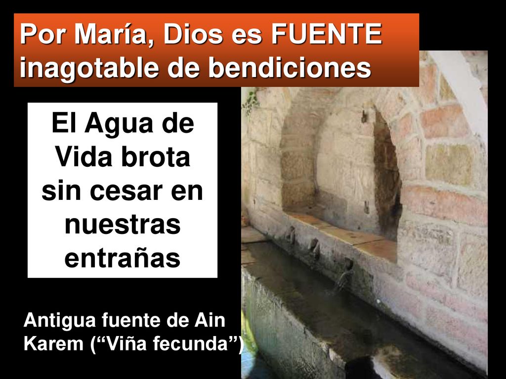 El Agua de Vida brota sin cesar en nuestras entrañas