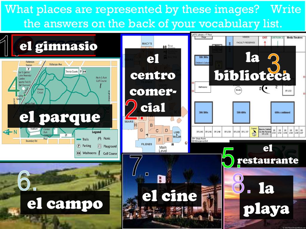 el parque la playa el cine el campo 1. la biblioteca