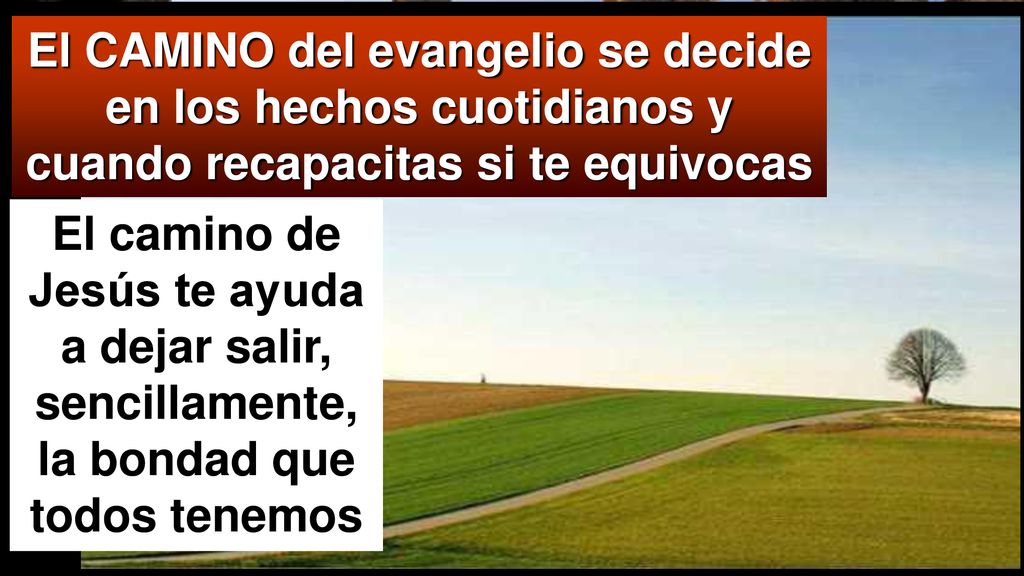 El CAMINO del evangelio se decide en los hechos cuotidianos y cuando recapacitas si te equivocas