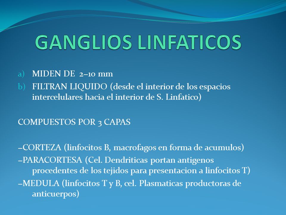 GANGLIOS LINFATICOS MIDEN DE 2−10 mm