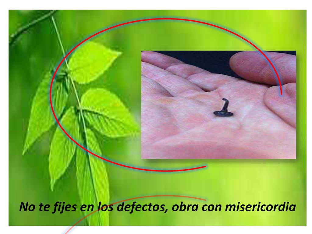 No te fijes en los defectos, obra con misericordia