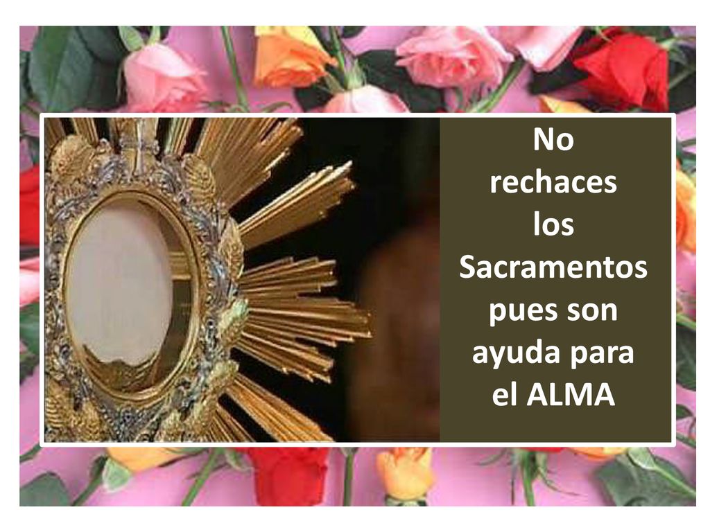 No rechaces los Sacramentos pues son ayuda para el ALMA