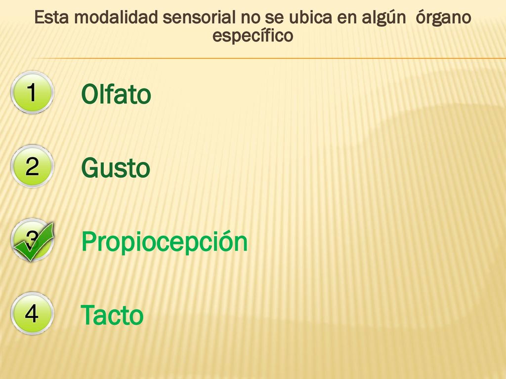 Esta modalidad sensorial no se ubica en algún órgano específico
