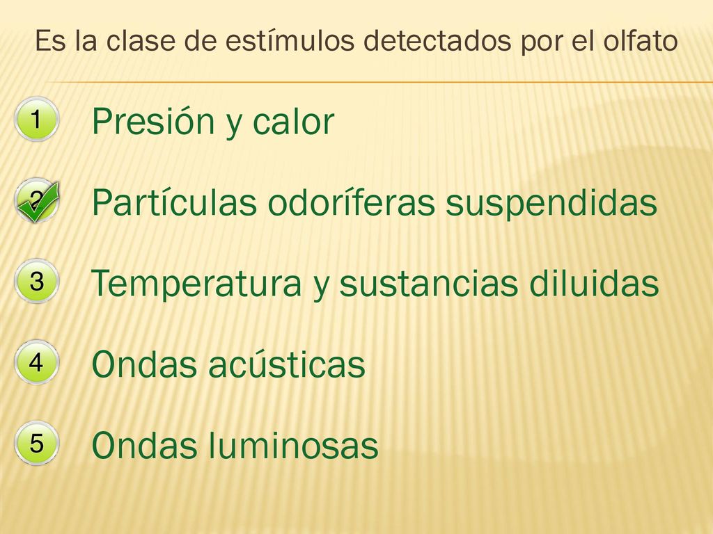 Es la clase de estímulos detectados por el olfato