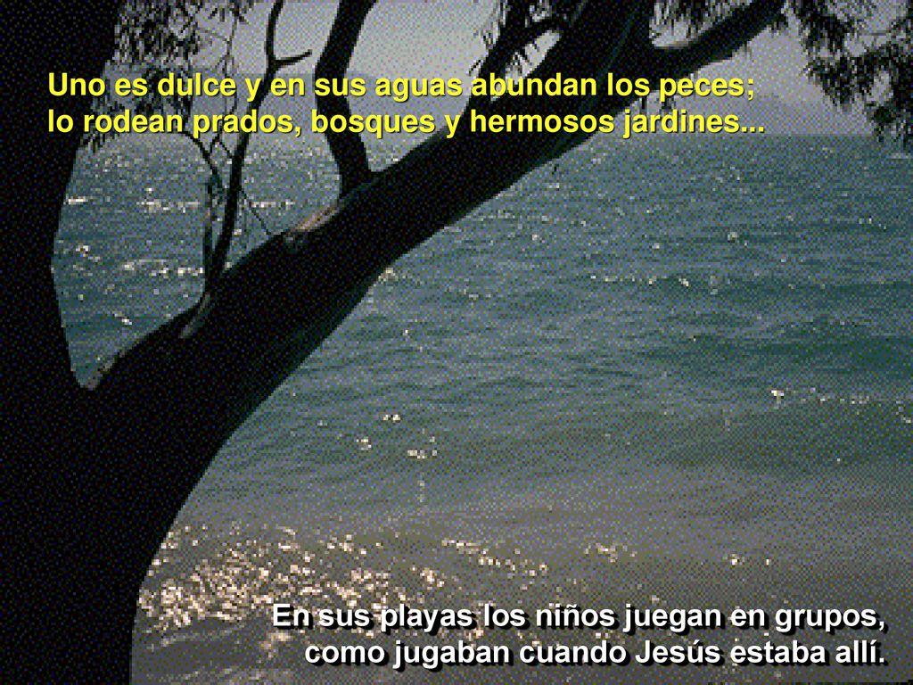 Uno es dulce y en sus aguas abundan los peces; lo rodean prados, bosques y hermosos jardines...