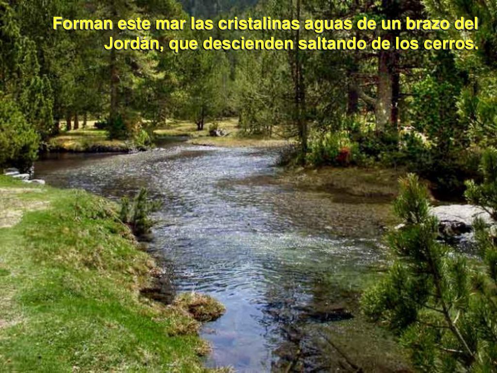 Forman este mar las cristalinas aguas de un brazo del Jordán, que descienden saltando de los cerros.