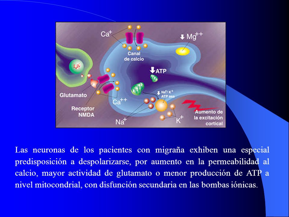 Las neuronas de los pacientes con migraña exhiben una especial predisposición a despolarizarse, por aumento en la permeabilidad al calcio, mayor actividad de glutamato o menor producción de ATP a nivel mitocondrial, con disfunción secundaria en las bombas iónicas.