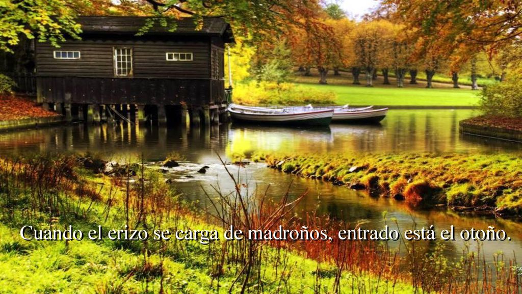 Cuando el erizo se carga de madroños, entrado está el otoño.