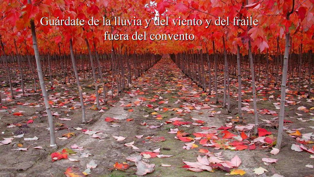 Guárdate de la lluvia y del viento y del fraile fuera del convento