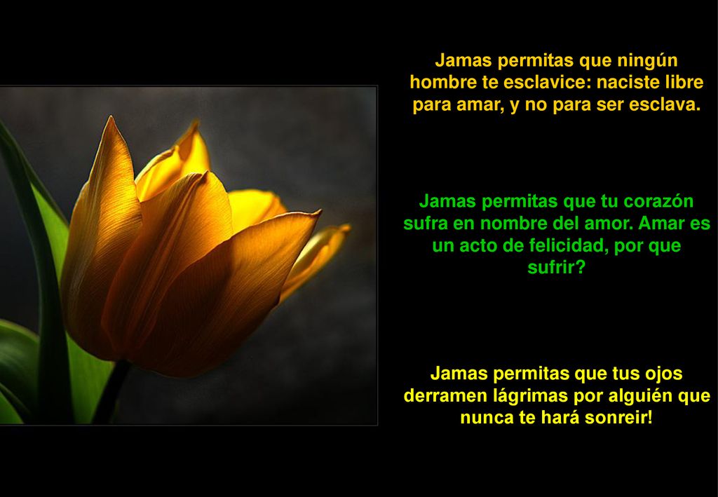 Jamas permitas que ningún hombre te esclavice: naciste libre para amar, y no para ser esclava.