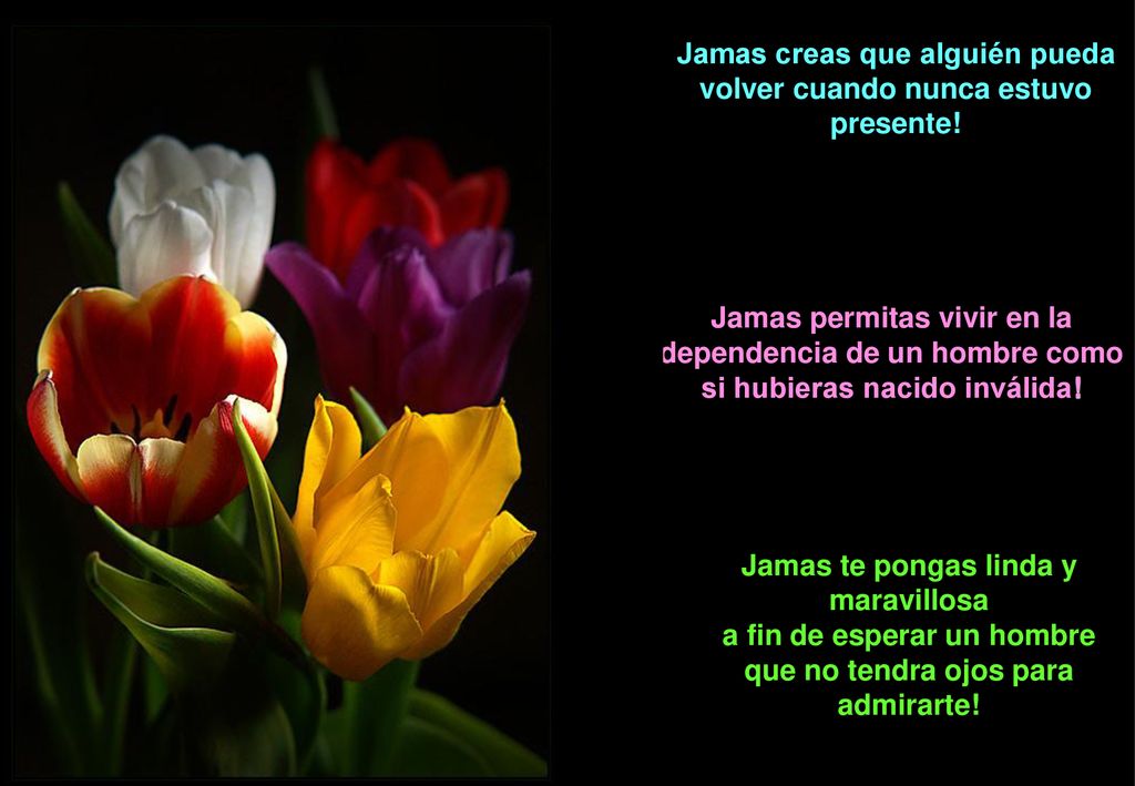 Jamas creas que alguién pueda volver cuando nunca estuvo presente!