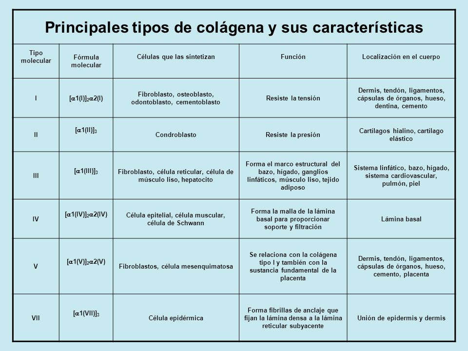 Principales tipos de colágena y sus características
