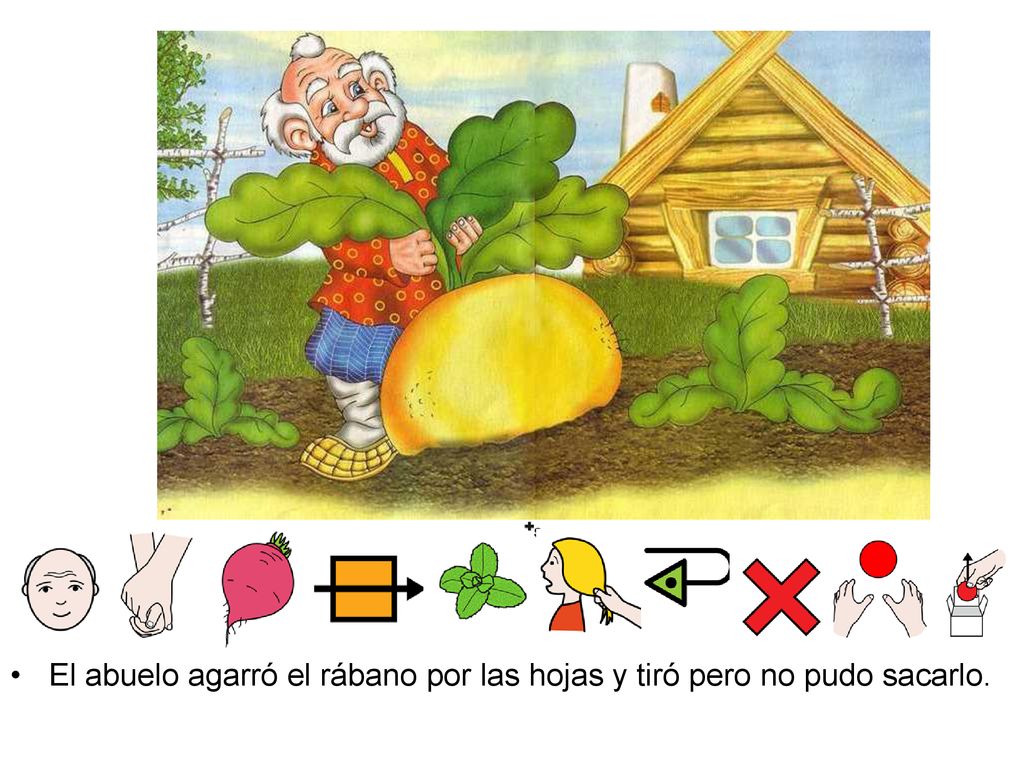 El abuelo agarró el rábano por las hojas y tiró pero no pudo sacarlo.