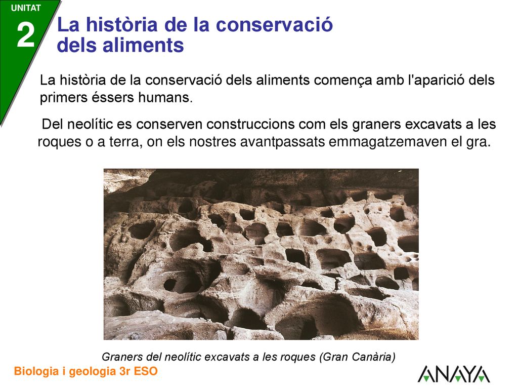 La història de la conservació dels aliments comença amb l aparició dels primers éssers humans.