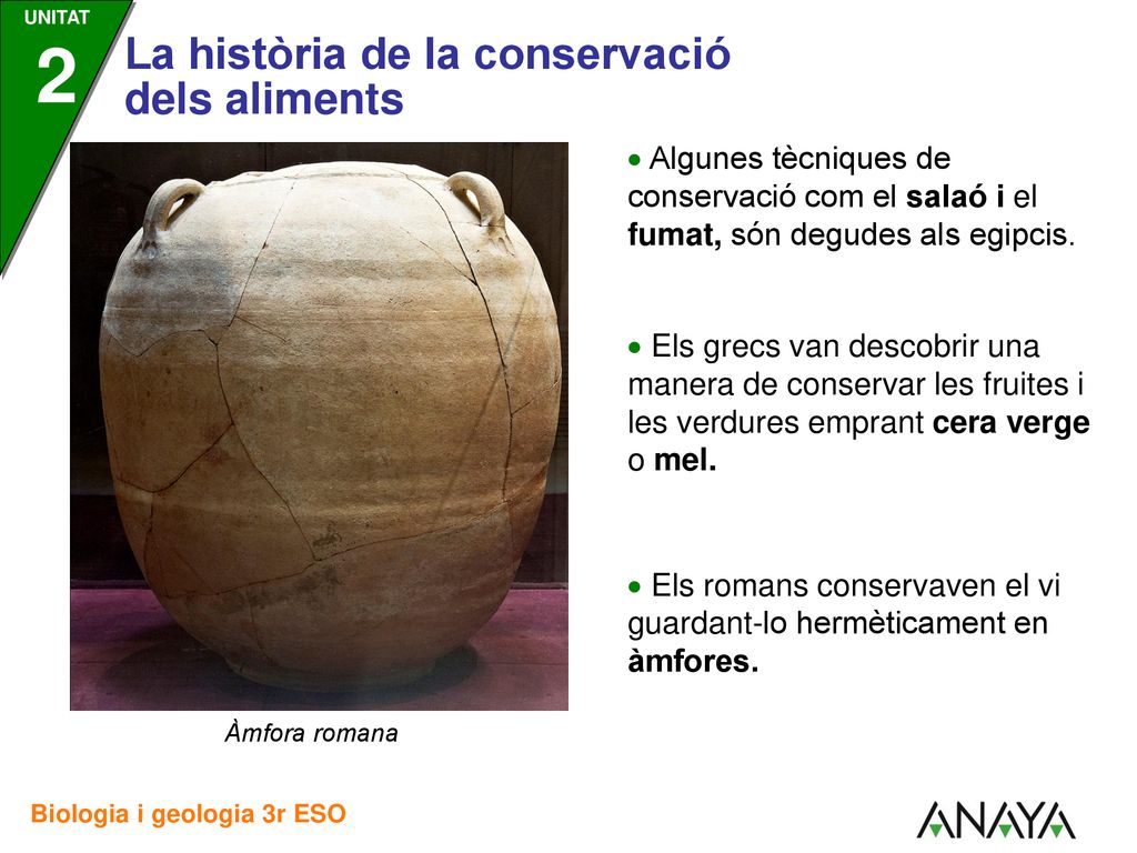  Els romans conservaven el vi guardant-lo hermèticament en àmfores.