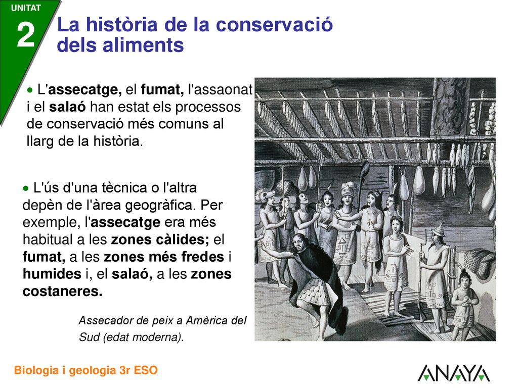  L assecatge, el fumat, l assaonat i el salaó han estat els processos de conservació més comuns al llarg de la història.