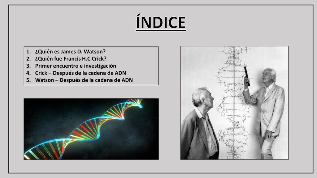 ÍNDICE ¿Quién es James D. Watson ¿Quién fue Francis H.C Crick