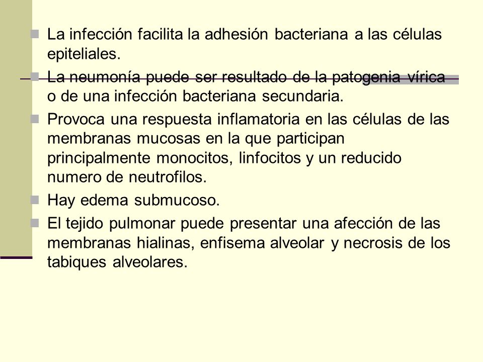 La infección facilita la adhesión bacteriana a las células epiteliales.