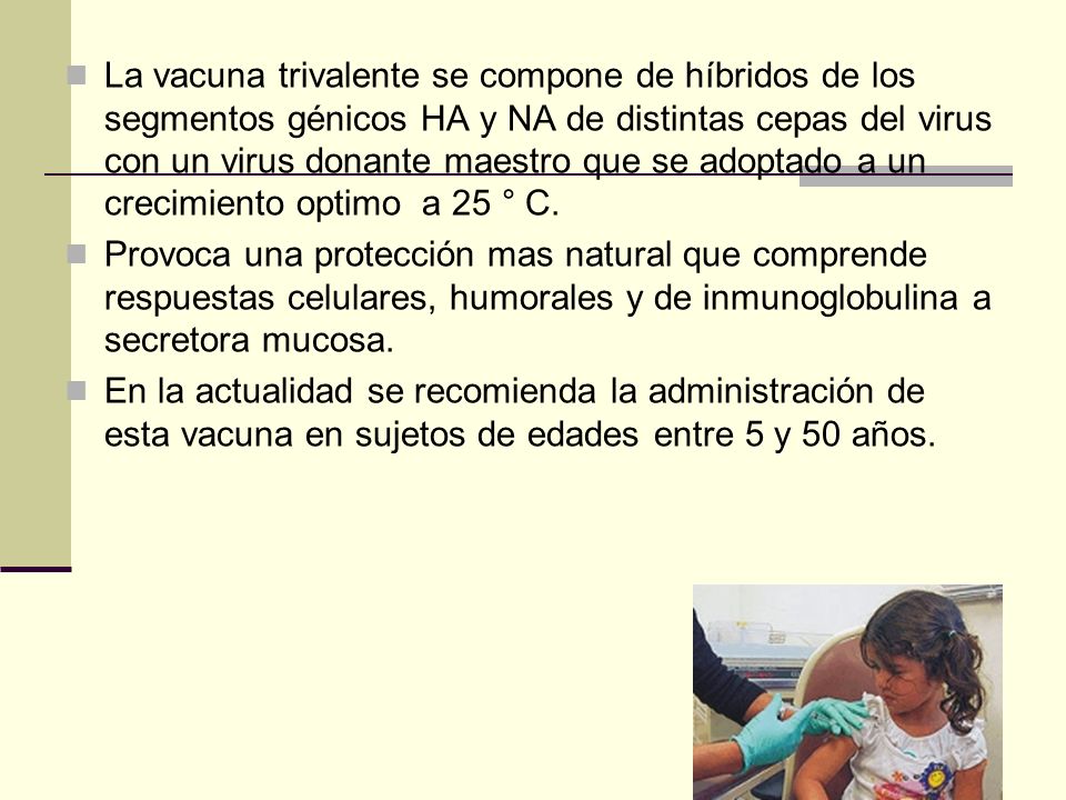 La vacuna trivalente se compone de híbridos de los segmentos génicos HA y NA de distintas cepas del virus con un virus donante maestro que se adoptado a un crecimiento optimo a 25 ° C.