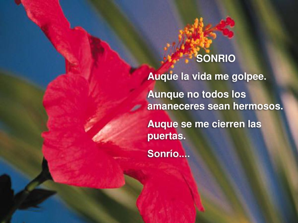 SONRIO Auque la vida me golpee. Aunque no todos los amaneceres sean hermosos. Auque se me cierren las puertas.