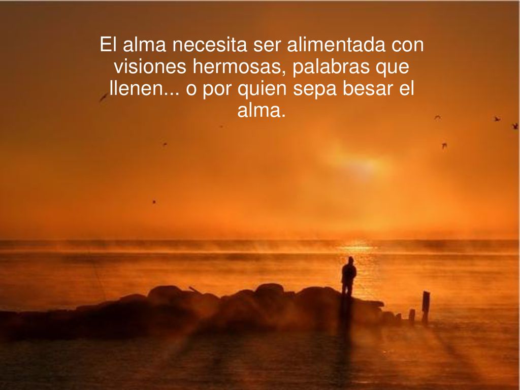 El alma necesita ser alimentada con visiones hermosas, palabras que llenen...