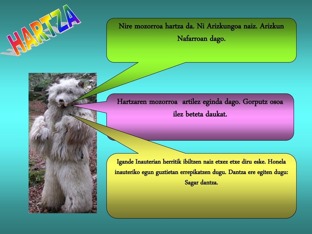 Nire mozorroa hartza da. Ni Arizkungoa naiz. Arizkun Nafarroan dago.
