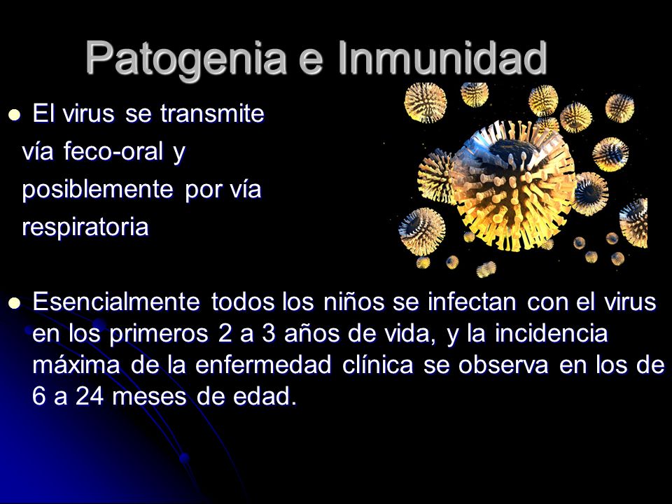 Patogenia e Inmunidad El virus se transmite vía feco-oral y