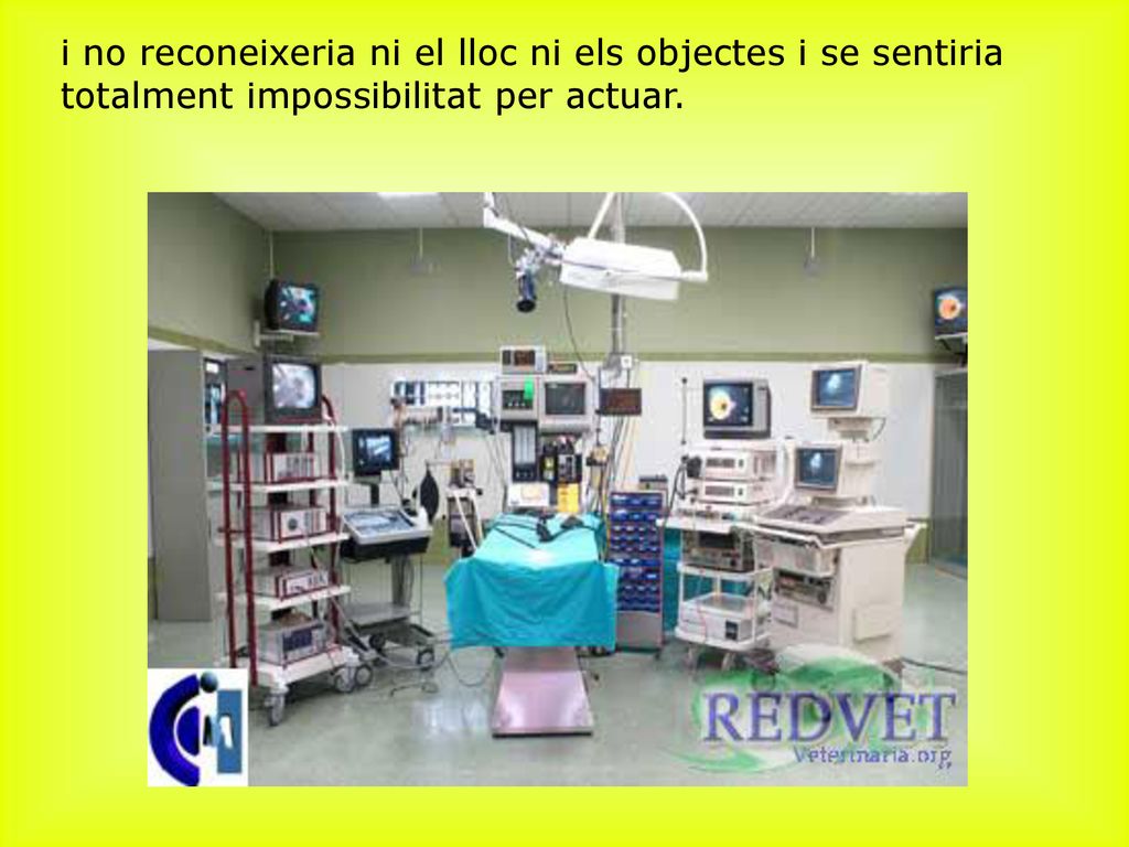 ﻿i no reconeixeria ni el lloc ni els objectes i se sentiria totalment impossibilitat per actuar.